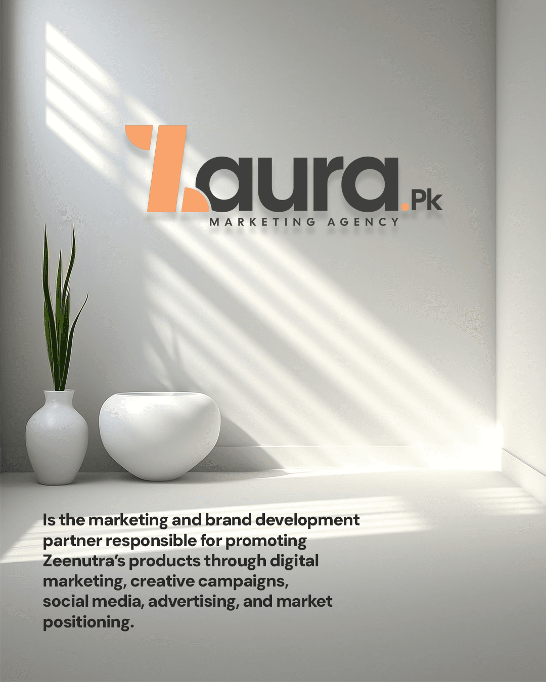 Zaura.pk — Marketing Agency
